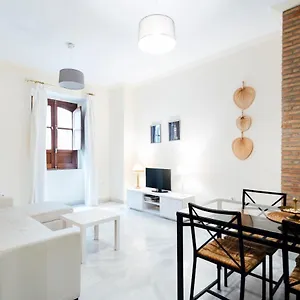 Alohamundi Zaragoza Iv Seville